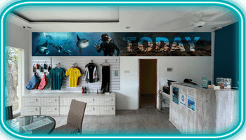 Boutique Legend Diving avec comptoir à droite, murs bleus, vêtements de plongée accrochés et grande banderole sous-marine "TODAY".